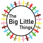 BIG LITTLE THINGS FOUNDATION